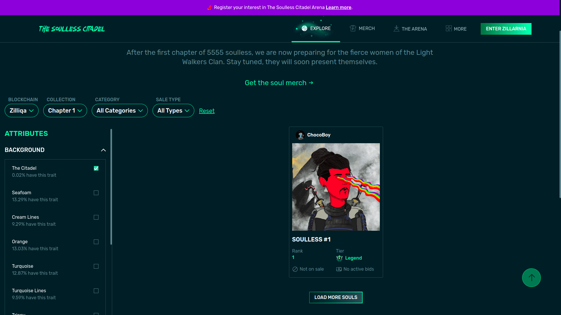 The Soulless Citadel